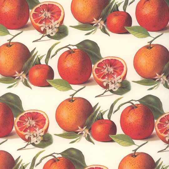 Oranges and Blossoms Italian Paper ~ Tassotti